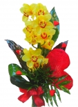 Cymbidium ze srdce