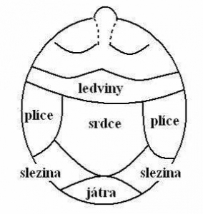 Masírovač