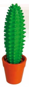 Kaktus propiska