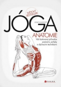 JÓGA - anatomie