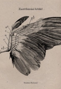 Zastřihávání křídel
