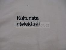 Kulturista intelektuál