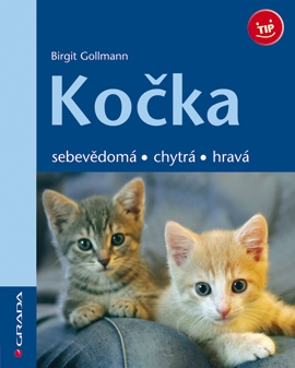 Kočka