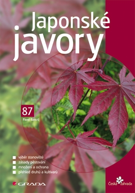 Japonské javory