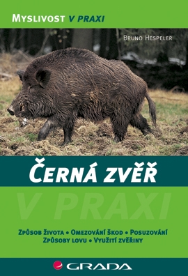 Černá zvěř