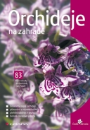 Orchideje na zahradě - fotografie