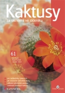 Kaktusy za oknem i ve skleníku - fotografie