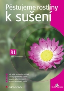 Pěstujeme rostliny k sušení - fotografie