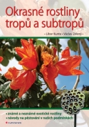 Okrasné rostliny tropů a subtropů - fotografie
