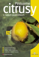 Pěstujeme citrusy v našich podmínkách - fotografie